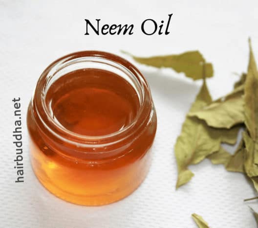 How to Use Neem Oil for Hair Growth, Dandruff and Eczema