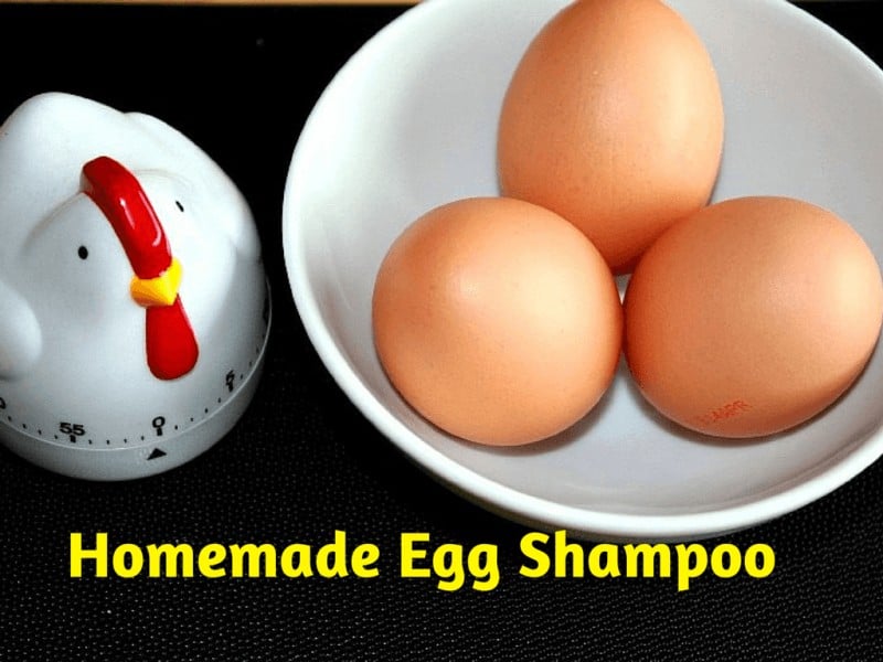 Homemade Egg Shampoo