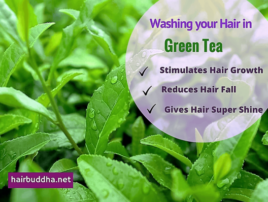 Green Tea for Hair: Stimulates Growth + Gives it Glorious Shine