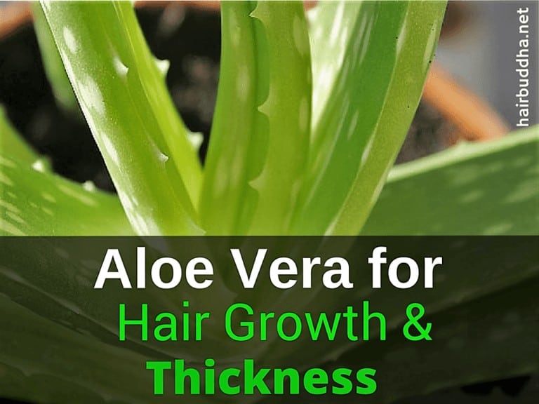 Aloe vera for hair growth & thickness