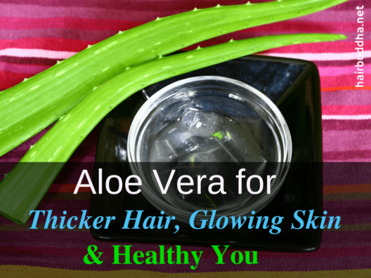 Aloe Vera for Thicker Hair, Glowing skin and Healthy You