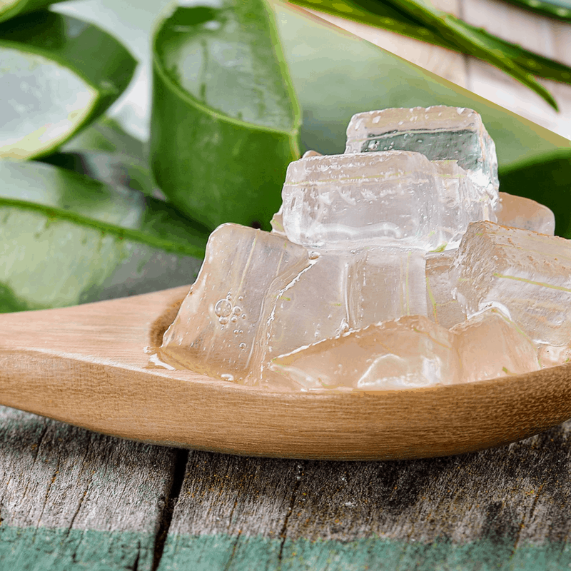 Aloe vera for thick hair growth