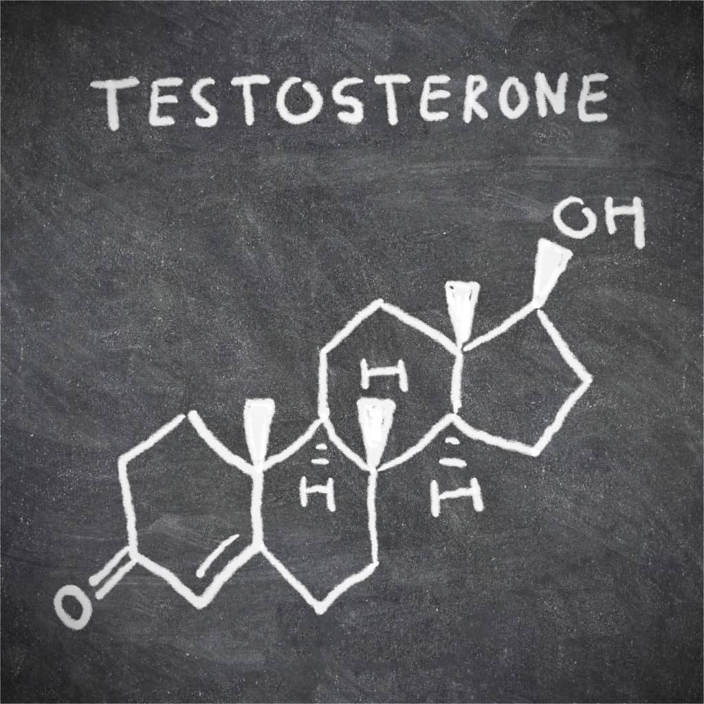 Testosterone and hair loss