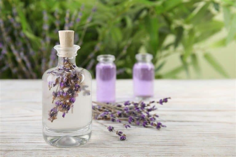 lavender essential oil for hair growth