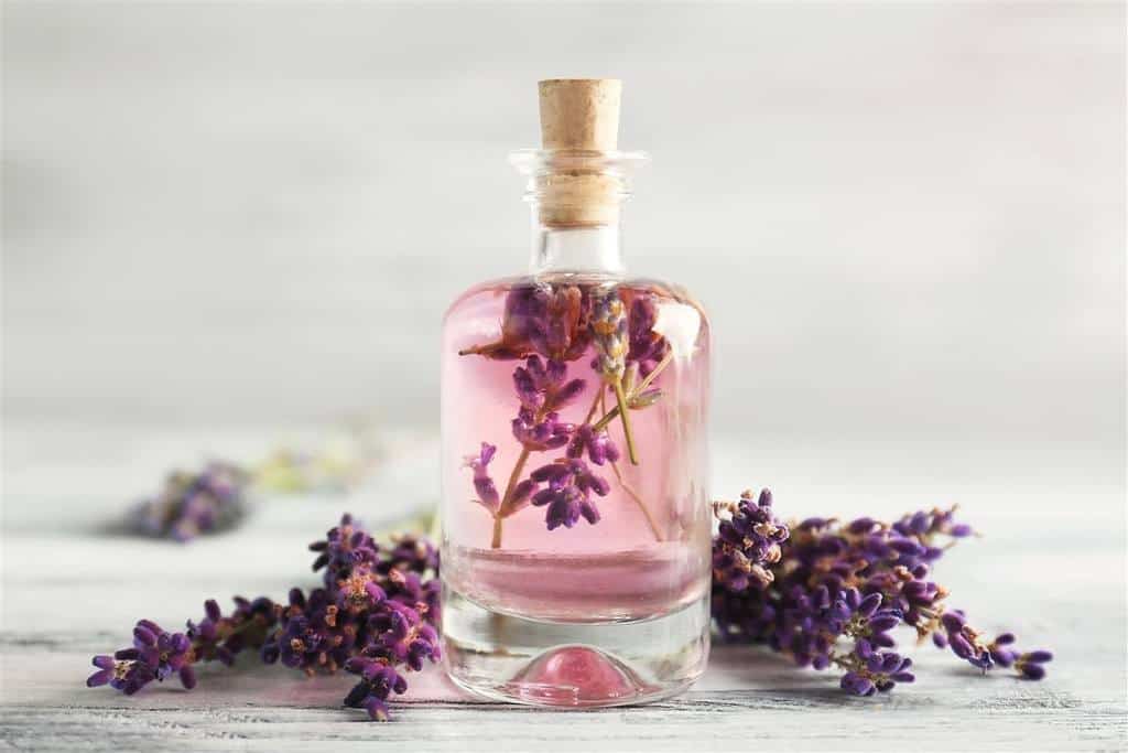 lavender essential oil
