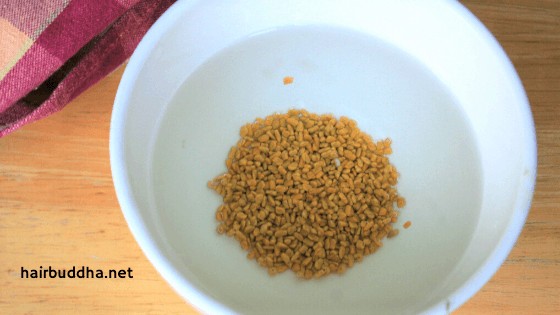 fenugreek seeds soaked in water