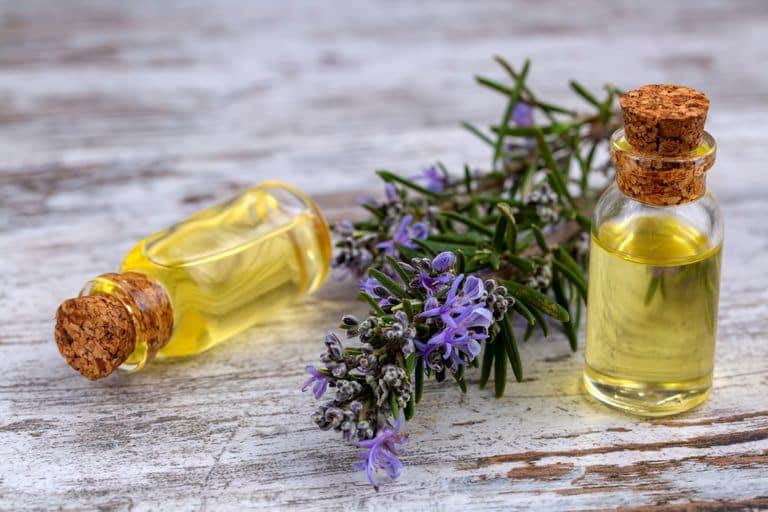Rosemary oil for hair growth