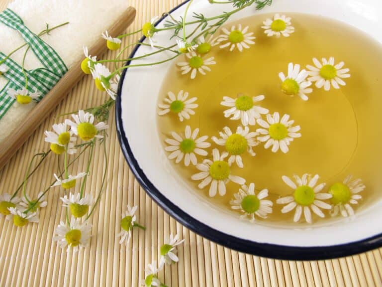 hair rinses for shine and conditioning