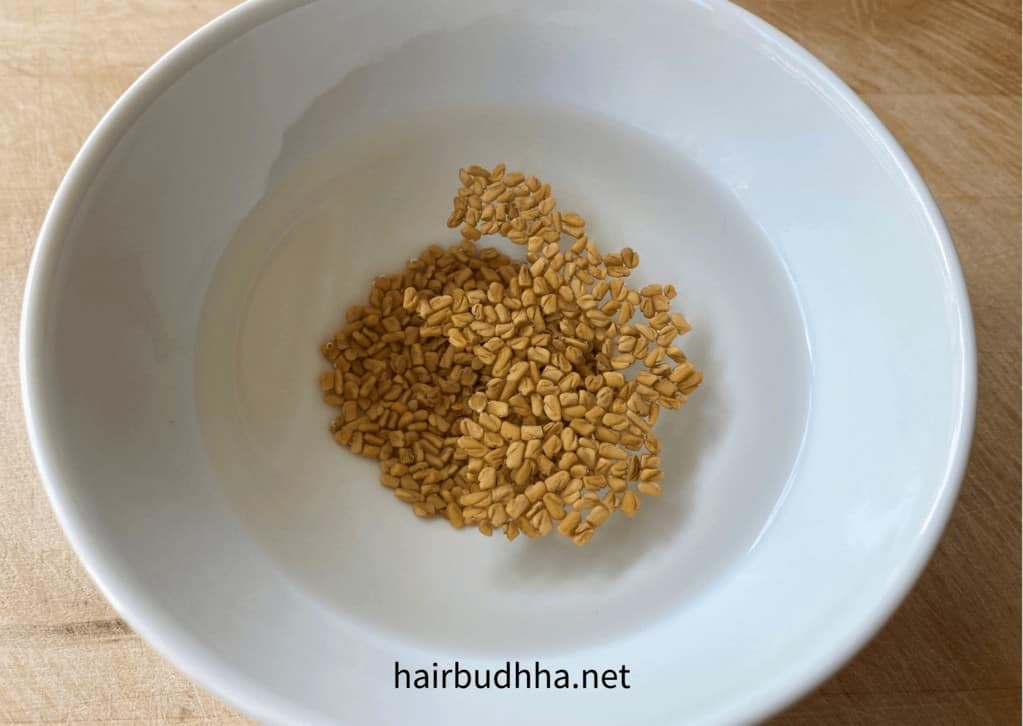 Fenugreek seeds soaking in water