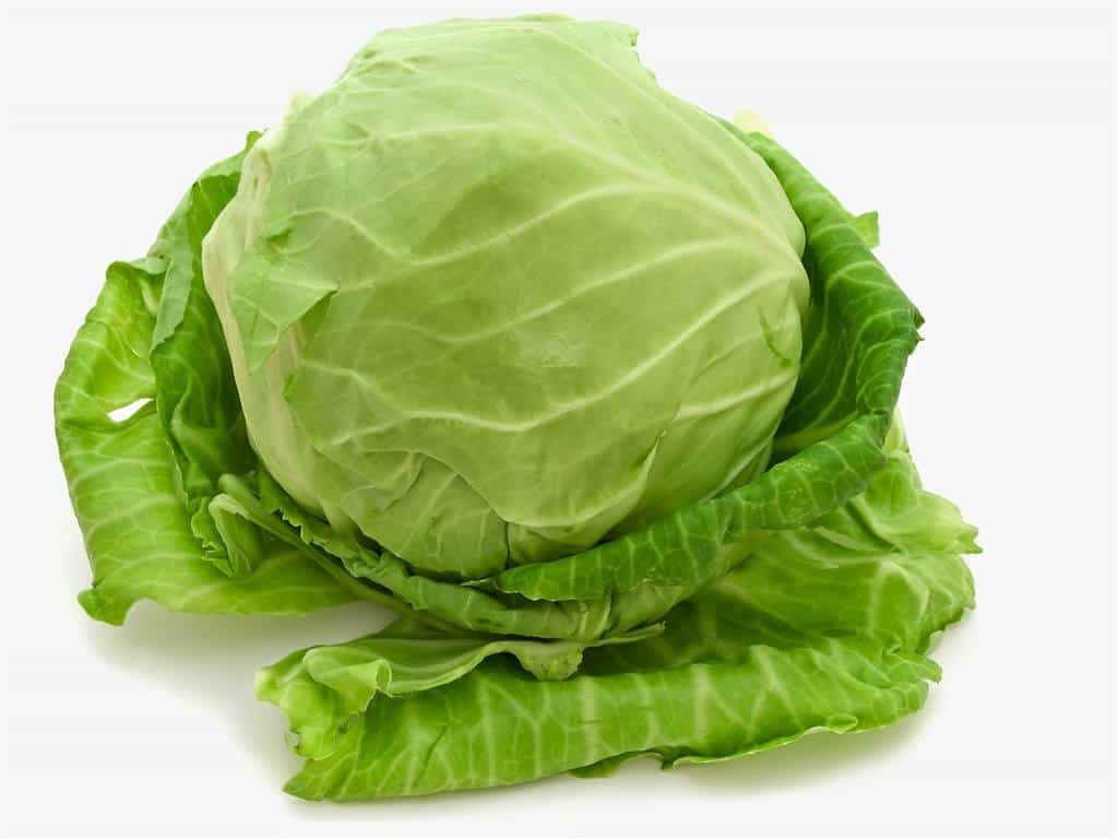 Cabbage for Hair Growth