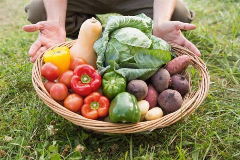 Vegetables for hair growth
