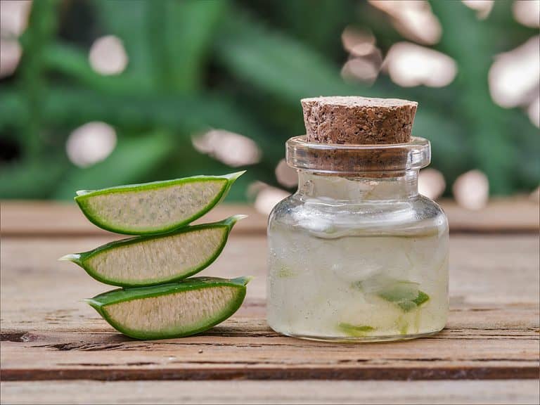Aloe Vera Hair Mask: Get Fuller and Bouncier Hair